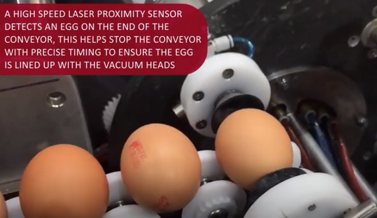 Robotic Egg Cutter