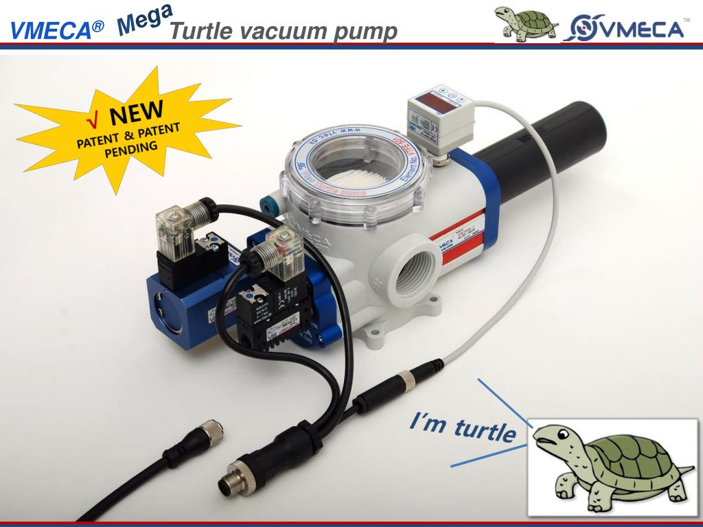 Turtle Pump